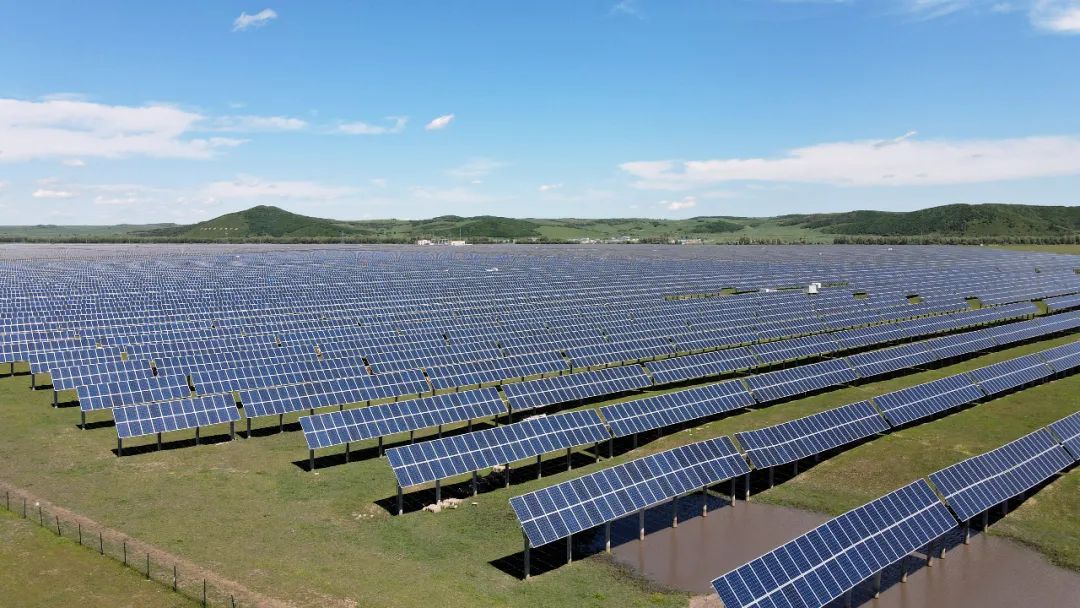 1667116030898198.jpg 4.jpg