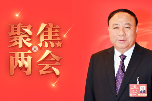 全國人大代表李寅2025年建議之四--盡快解決農(nóng)林生物質(zhì)發(fā)電可再生能源電價附加補(bǔ)助拖欠問題，化解行業(yè)經(jīng)營風(fēng)險的建議